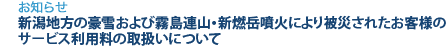 [お知らせ]　新潟地方の豪雪および霧島連山・新燃岳噴火により被災されたお客様のサービス利用料の取扱いについて